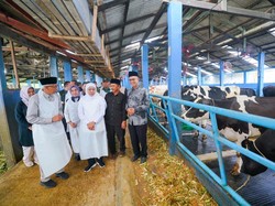 Khofifah Dorong Susu Sapi dari Pasuruan Penuhi Kebutuhan Lokal-Ekspor Khofifah Dorong Susu Sapi dari Pasuruan Penuhi Kebutuhan Lokal-Ekspor