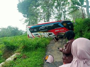 Viral Bus Peziarah Nyasar di Hutan Plukaran Pati gegara Ikuti Google Maps Viral Bus Peziarah Nyasar di Hutan Plukaran Pati gegara Ikuti Google Maps