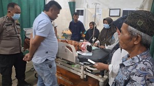 Petani di Muaro Jambi Terluka Parah Diserang Beruang saat Sadap Karet Petani di Muaro Jambi Terluka Parah Diserang Beruang saat Sadap Karet