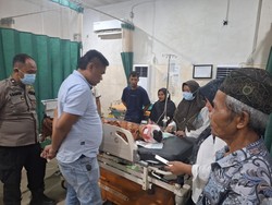 Petani di Muaro Jambi Terluka Parah Diserang Beruang saat Sadap Karet Petani di Muaro Jambi Terluka Parah Diserang Beruang saat Sadap Karet