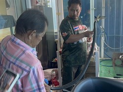 Kisah Pilu Pria Tewas Digigit Kobra, Sempat Telepon Nenek Tanyakan Ini Kisah Pilu Pria Tewas Digigit Kobra, Sempat Telepon Nenek Tanyakan Ini