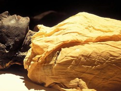 Radiokarbon, Jam Alami yang Bisa Tentukan Waktu Kematian Seseorang Radiokarbon, Jam Alami yang Bisa Tentukan Waktu Kematian Seseorang