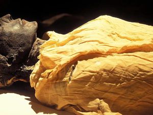 Radiokarbon, Jam Alami yang Bisa Tentukan Waktu Kematian Seseorang Radiokarbon, Jam Alami yang Bisa Tentukan Waktu Kematian Seseorang