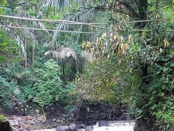 Remaja Berkebutuhan Khusus Hilang Saat Mancing di Kuningan