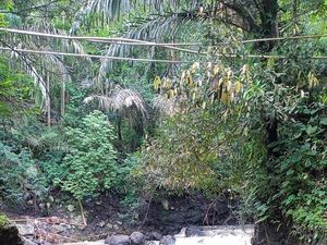 Remaja Berkebutuhan Khusus Hilang Saat Mancing di Kuningan Remaja Berkebutuhan Khusus Hilang Saat Mancing di Kuningan