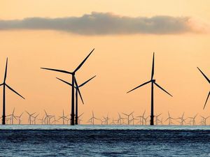 Pertama Kalinya Terjadi Penurunan Emisi Global! Tapi Masih Jauh dari Cukup