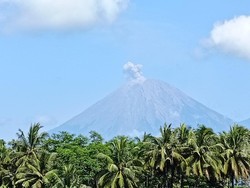 PVMBG Catat 127 Letusan Gunung Semeru dalam 24 Jam