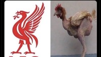 Meme Liverpool Keok, Habis Kena Olok-olok Meme Liverpool Keok, Habis Kena Olok-olok