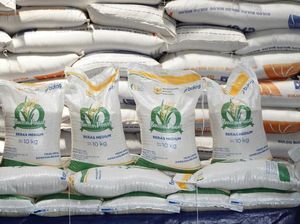 Kabar Gembira! Bansos Beras-Minyak Mulai Disebar