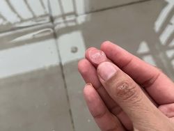 Hujan Es Hebohkan Warga Tangsel, Kucing Peliharaan Ikutan Kaget