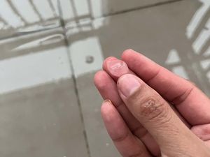 Hujan Es Hebohkan Warga Tangsel, Kucing Peliharaan Ikutan Kaget Hujan Es Hebohkan Warga Tangsel, Kucing Peliharaan Ikutan Kaget