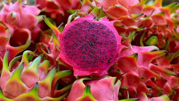 Superfood Buah Naga: Ungkap Khasiat & Cicip Resep Dragon Fizz Kekinian!