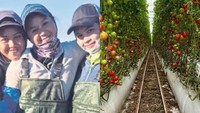 Jadi Petani di Australia, Adik-Kakak Ini Raup Lebih dari Rp 54 Juta Sebulan!