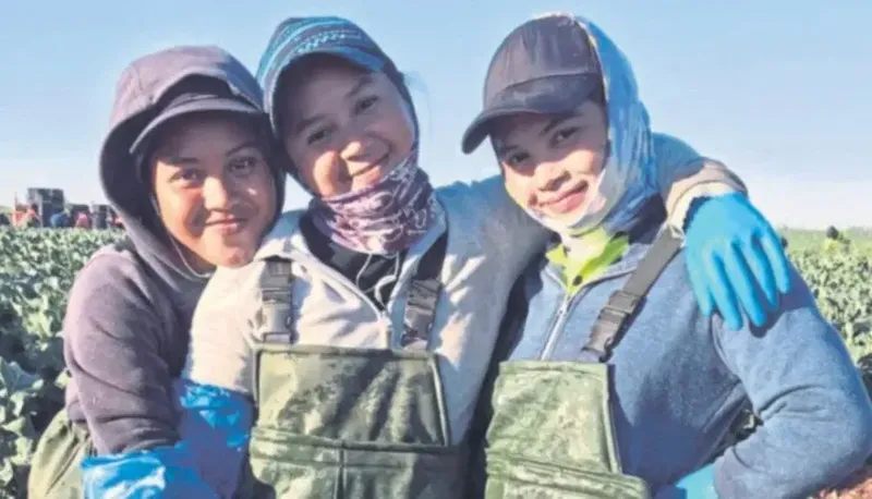 Jadi Petani di Australia, Adik-Kakak Ini Raup Lebih dari Rp 54 Juta Sebulan!