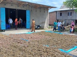 Luas Budi Daya Rumput Laut Takalar Capai 3.000 Hektare, Ini Sebarannya Luas Budi Daya Rumput Laut Takalar Capai 3.000 Hektare, Ini Sebarannya