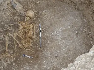 Kerangka Remaja 2.000 Tahun Ditemukan Tengkurap, Diduga Tumbal