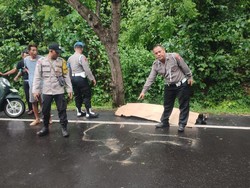Pelajar Tewas Terlindas Truk Boks di Jalan Denpasar-Gilimanuk Pelajar Tewas Terlindas Truk Boks di Jalan Denpasar-Gilimanuk