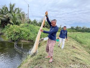 Gampong Berdikari: Tambak Mati Jadi yang Kini Jadi Sumber Harapan Baru Gampong Berdikari: Tambak Mati Jadi yang Kini Jadi Sumber Harapan Baru