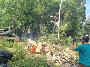 Warga Cerita Detik-detik Ngeri Pohon Tumbang di Dharmawangsa Tewaskan 1 Orang