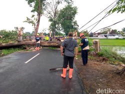 Pohon Tumbang di Sukoharjo Tutup Akses Jalan-Timpa Kabel Listrik Pohon Tumbang di Sukoharjo Tutup Akses Jalan-Timpa Kabel Listrik