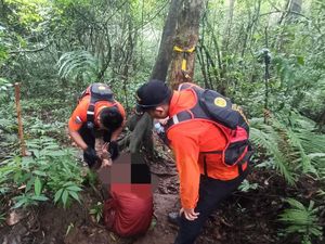 Empat Pendaki Lansia Asal Buleleng Kelelahan di Gunung Batukaru Tabanan