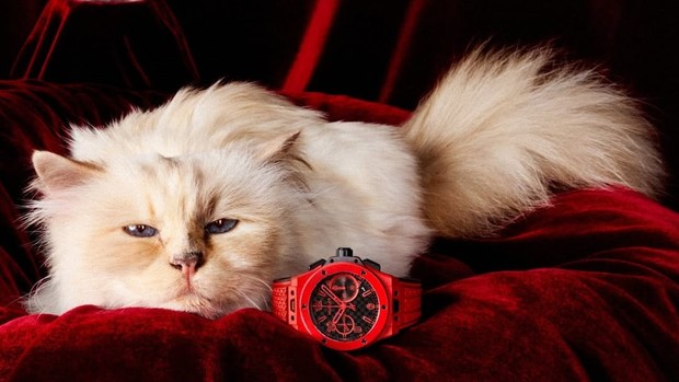 / Choupette, kucing kesayangan Karl Lagerfeld, memiliki kekayaan Rp216 miliar dan jadi ikon mode dunia. Kekayaan ini belum ditambah sebagian harta yang diwariskan sang desainer.