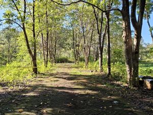 Duel Maut Sejoli di Taman Wisata Bantimurung Maros gegara Cemburu Buta