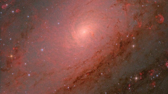 Men qoshnimni olib kelib sikdim.