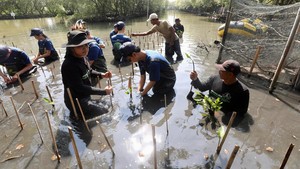 2.500 Mangrove Ditanam Serentak di Lima Provinsi untuk Jaga Bumi