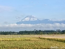 Gunung Semeru Alami 7 Kali Erupsi Pagi Ini, Status Masih Waspada