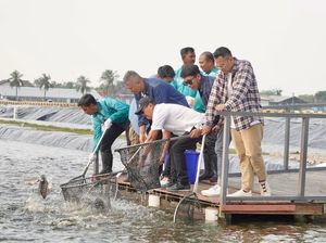 Menteri KP dan Raffi Cs ke BINS, Ajak Pemuda Tekuni Budidaya Perikanan Menteri KP dan Raffi Cs ke BINS, Ajak Pemuda Tekuni Budidaya Perikanan