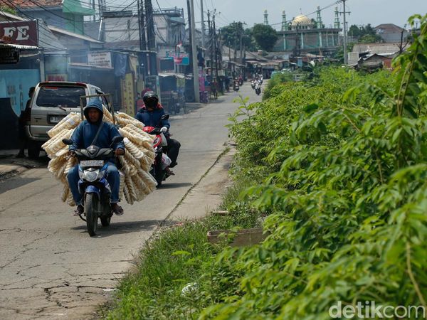 Pasca Penertiban Kali Baru Bekasi, Lahan Bekas Bangli Kini Dipenuhi Rumput Liar