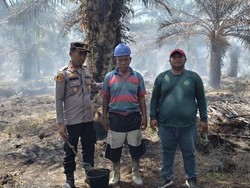 7 Ha Lahan di Rohil Terbakar gara-gara Puntung Rokok, Pelaku Ditangkap 7 Ha Lahan di Rohil Terbakar gara-gara Puntung Rokok, Pelaku Ditangkap