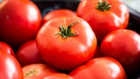 Bantu Daya Ingat Anak, Ini 6 Superfood Enak yang Wajib Dicoba!