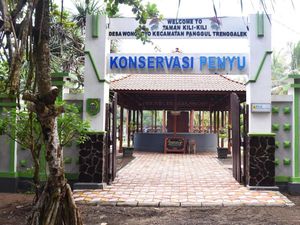 Eksplor Pantai, Sungai hingga Tebing di Desa Wisata Wonocoyo Trenggalek