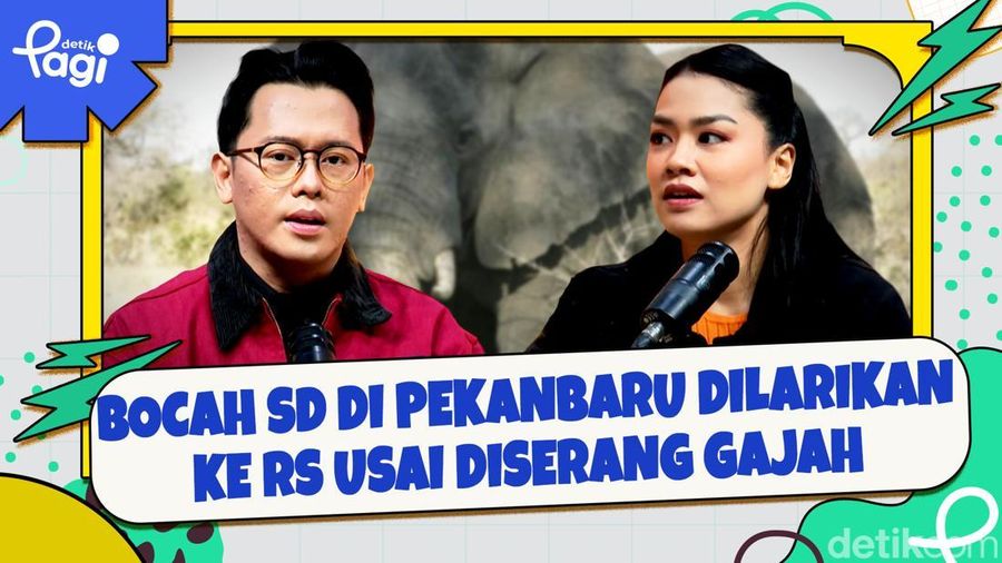 Video: Bocah SD di Pekanbaru Dilarikan ke RS usai Diserang Gajah