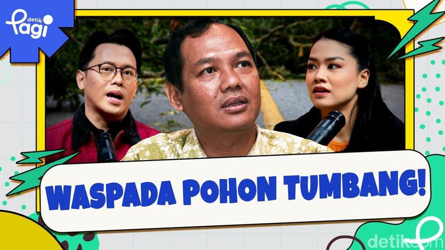 Video: Waspada Pohon Tumbang!