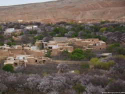 Gempa  M 6,3 Guncang Afghanistan, 10 Orang Tewas-260 Luka