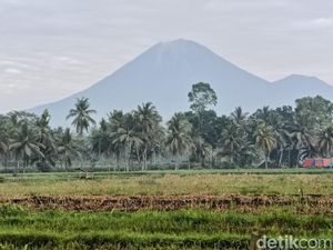Gunung Semeru Erupsi, Abu Vulkanik Membumbung Setinggi 500 Meter
