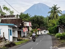 Gunung Semeru Erupsi 125 Kali dalam 24 Jam