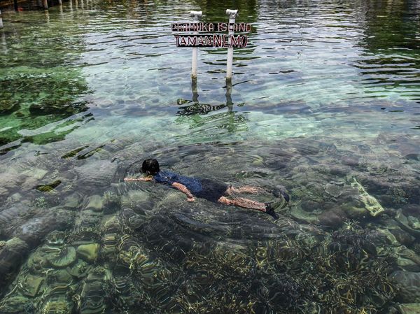 Luas Kawasan Konservasi Laut Nasional Capai 30,99 Juta Hektare di 2025