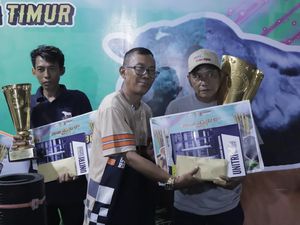 Sapi Sapu Jagat Mojokerto Pecahkan Rekor Nasional di Jember Cup Season 2