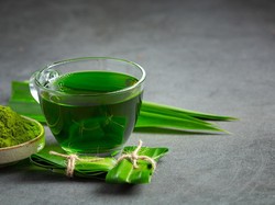 8 Rebusan Daun yang Bisa Menghancurkan Batu Ginjal dan Cara Mengonsumsinya