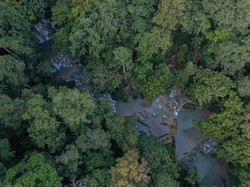 Kata Denny Caknan, Puan, dan Pemerintah soal Warga Patungan Beli Hutan