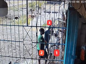 Penampakan 3 Anggota KKB Serang Pemilik Kios di Yahukimo