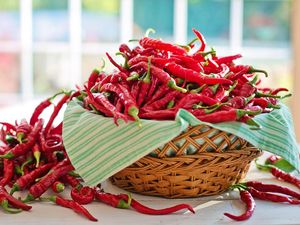 Harga Sembako Jogja Hari Ini 4 November 2025: Cabai Merah dan Kedelai Naik!