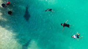 DKI Jakarta Bidik Investasi Rp14,3 Triliun di Sektor Pariwisata Tahun 2025