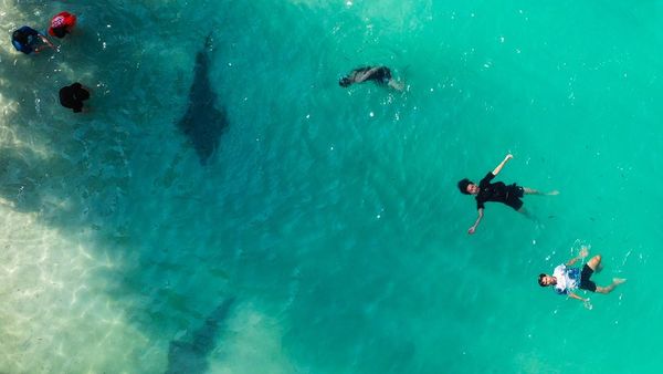 DKI Jakarta Bidik Investasi Rp14,3 Triliun di Sektor Pariwisata Tahun 2025