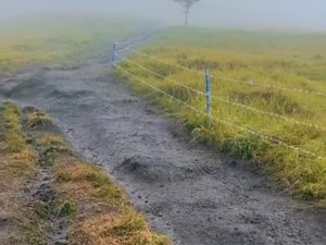 Jalur Pendakian Pos 3 Gunung Sumbing Dipasang Kawat Berduri, Ini Alasannya