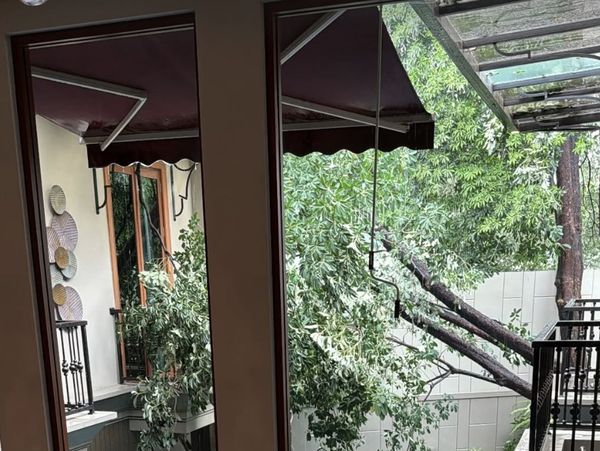 Duh! Hujan Angin Bikin Pohon Besar di Rumah Jennifer Dunn Tumbang